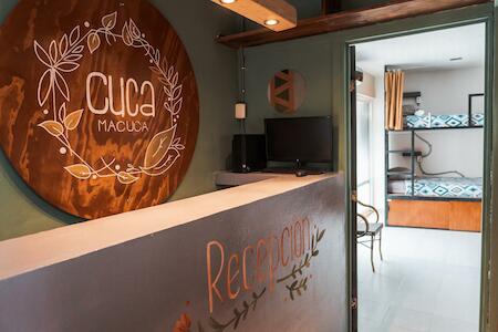 Best Party Hostel: Hostal Cuca Macuca, Puerto Morelos