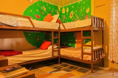 The Lilac Farm, Sāslu