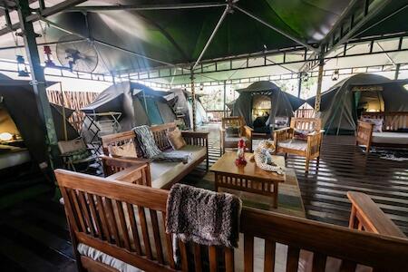 Tree Top Village Urban Glamping, St. Lucia