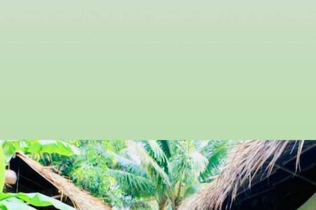 Best for Female Solo Traveler: Under The Coconut Tree, Hoi An Best for Female Solo Traveler: Under The Coconut Tree, Hoi An