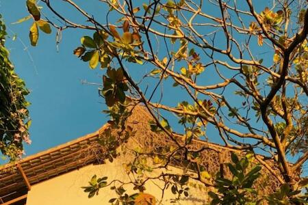 Best Party Hostel: Enjoy Hostel e Pousada, Aracaju