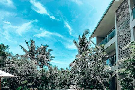 Best Party Hostel: The Soul House Bali, Canggu