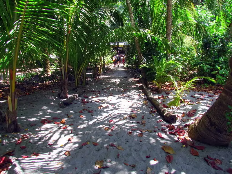 Kacha Beach Club, Quepos Is it Worth it? NEW Reviews 2024