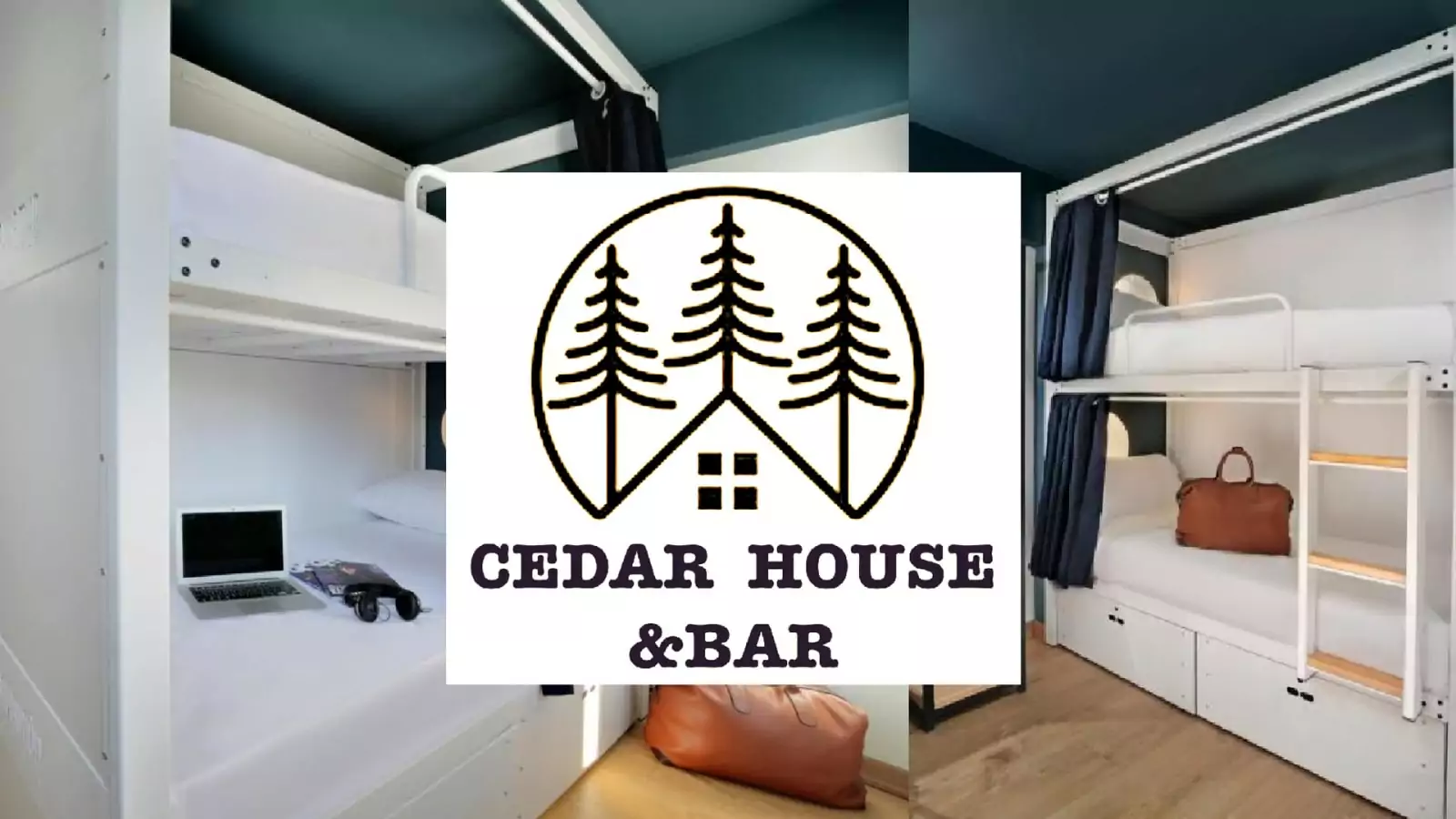 Cedar House, Istanbul Is it Worth it? NEW Reviews 2024