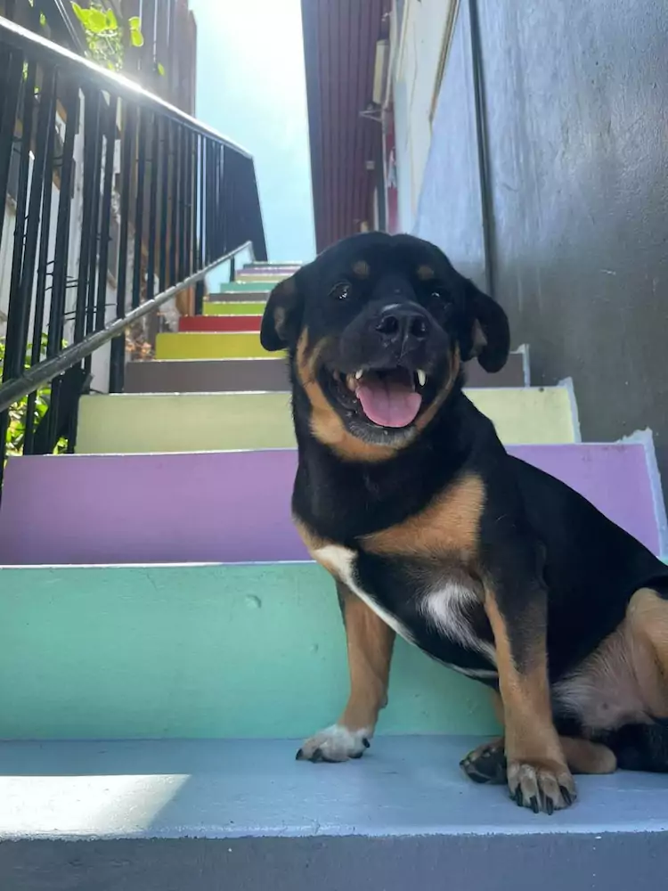 The Cozy Hostel, Darwin Is it Worth it? NEW Reviews 2024