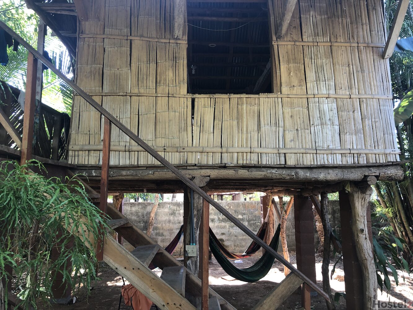Bambu Hostel, David City
