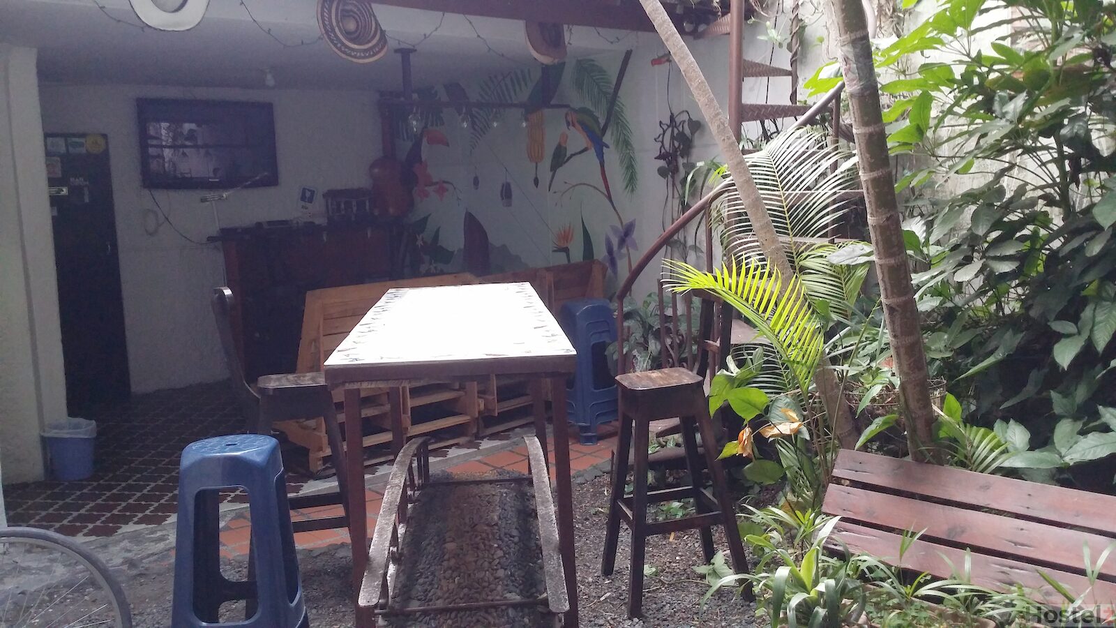 Palm Tree Hostel, Medellin