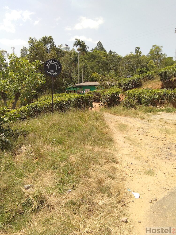 Sleep Cheap, Ella 2023 Price & Reviews Compared