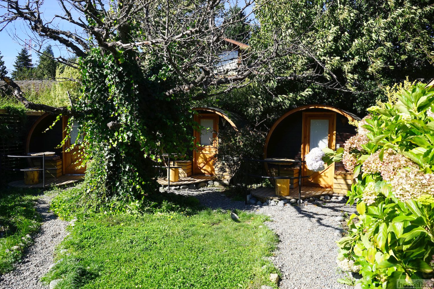 Chili Kiwi Lakefront Backpackers, Pucón 2023 Price & Reviews Compared