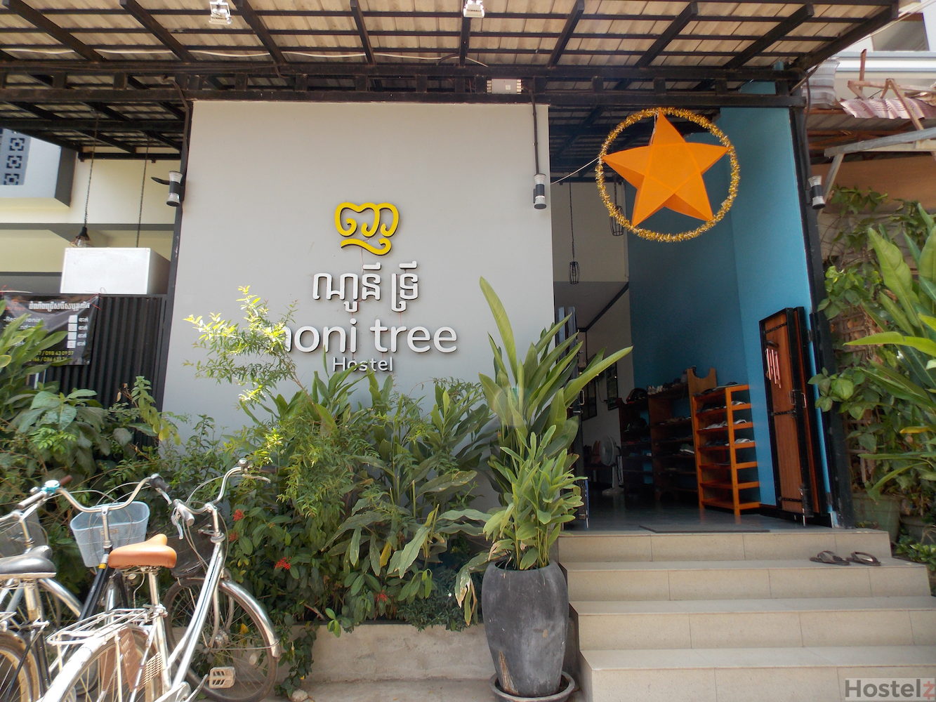 Noni Tree Hostel, Siem Reap