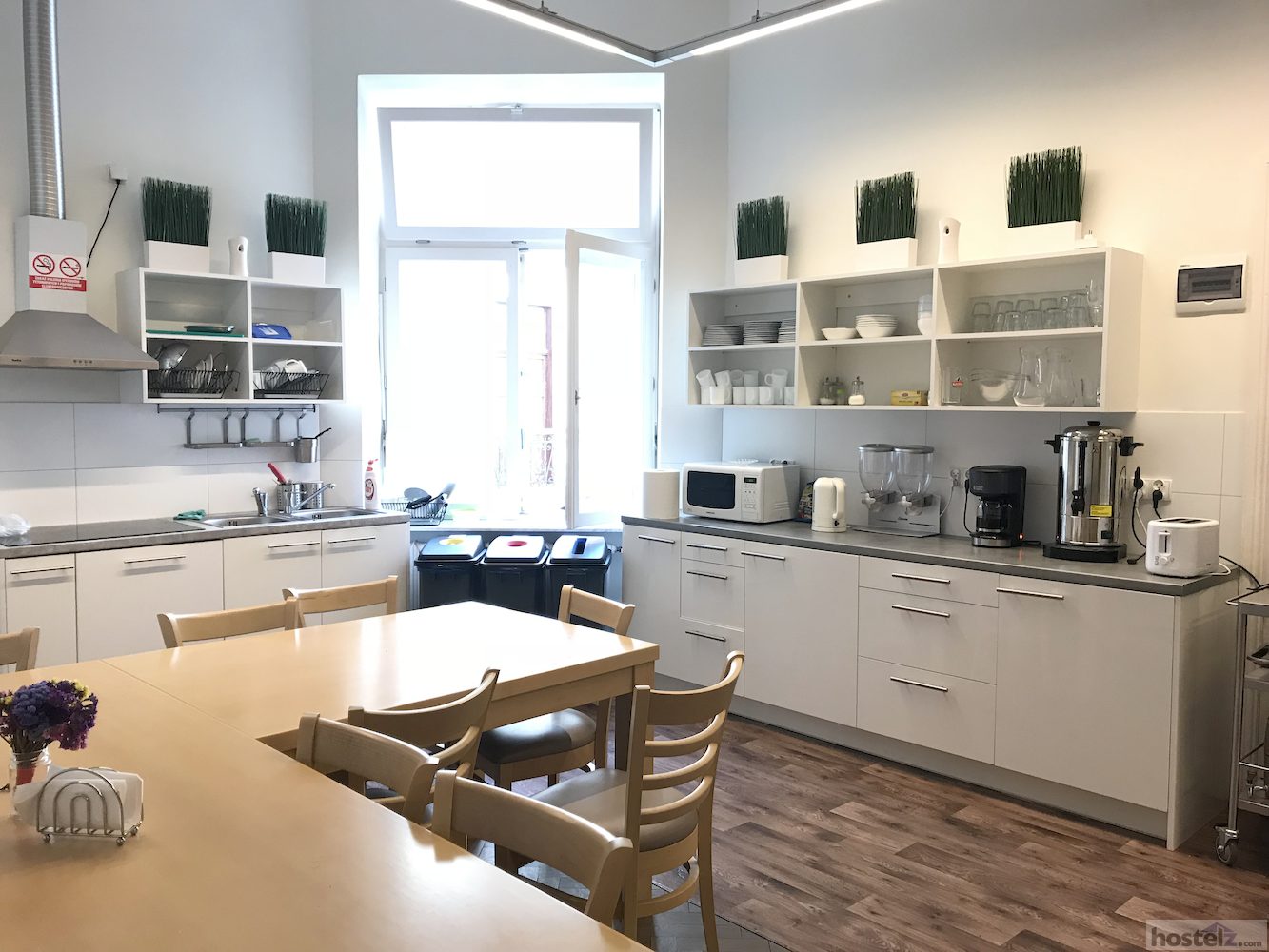 Bison Hostel, Krakow Is it Worth it? NEW Reviews 2023