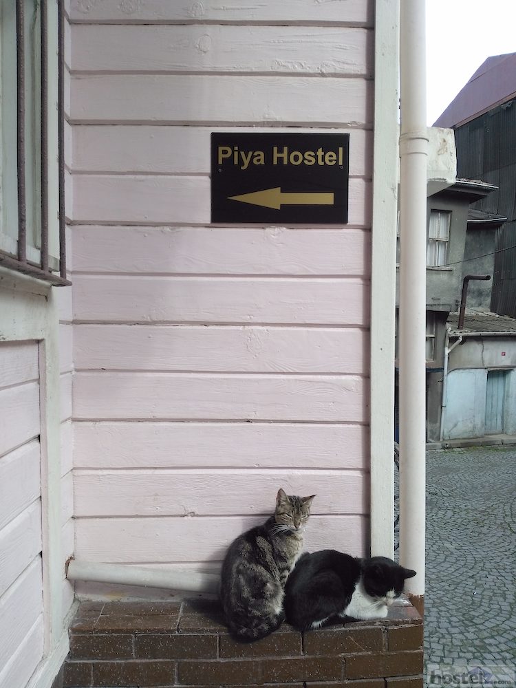 Piya Hotel/Hostel, Istanbul