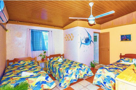 6 Hostels in Sámara with Private Rooms