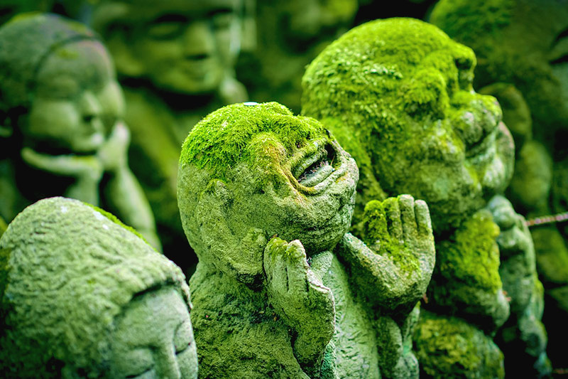 Dónde comer y beber en Kioto