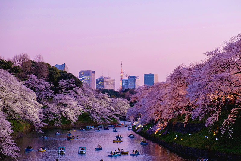 Principales (y peores) zonas para hospedarte en Tokio