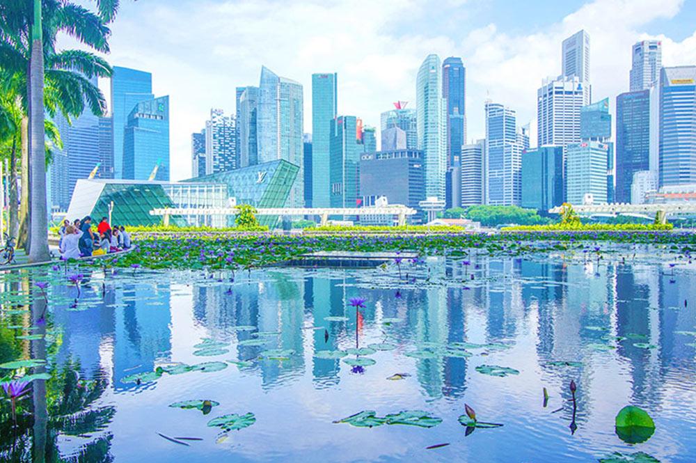 Where to Stay in Singapore City for the First Time: A Complete Guide Where to Stay in Singapore City for the First Time: A Complete Guide