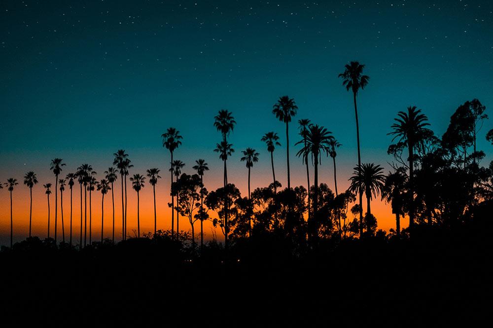 Where to Stay in Los Angeles for the First Time: A Complete Guide