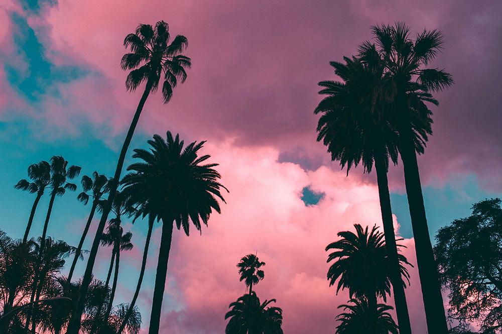 My Solo Travel to Los Angeles was the BEST - My Complete Guide My Solo Travel to Los Angeles was the BEST - My Complete Guide