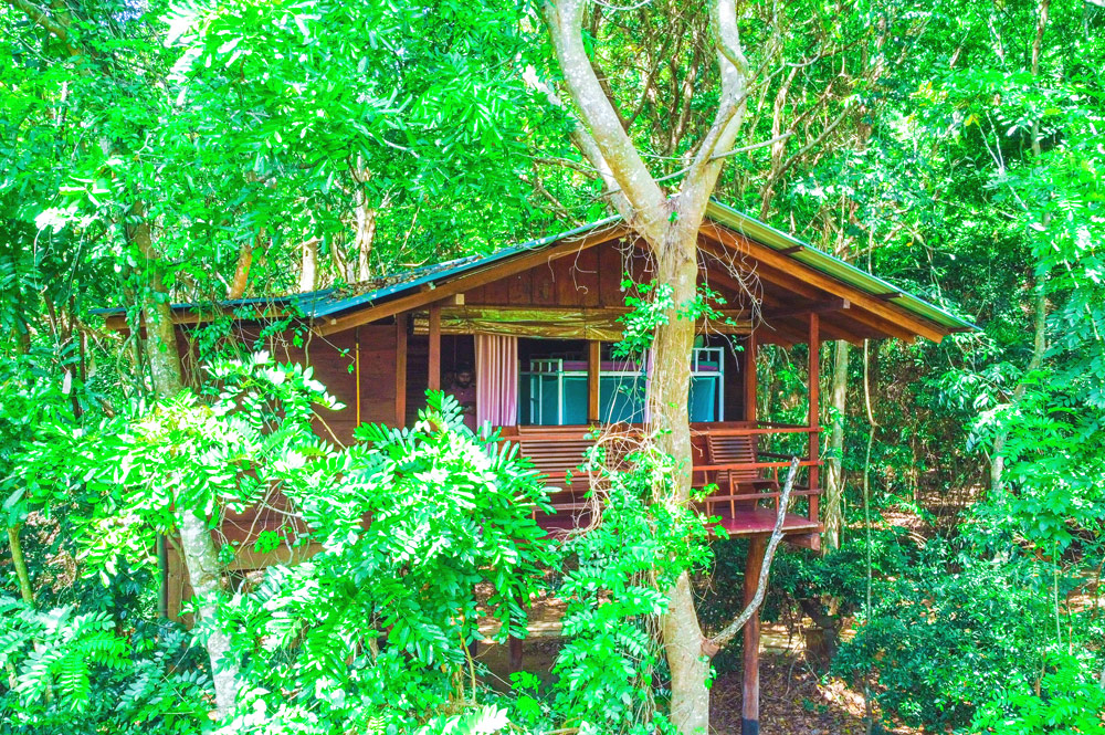 5 Best Hostels in Sigiriya for Female Solo-Travelers