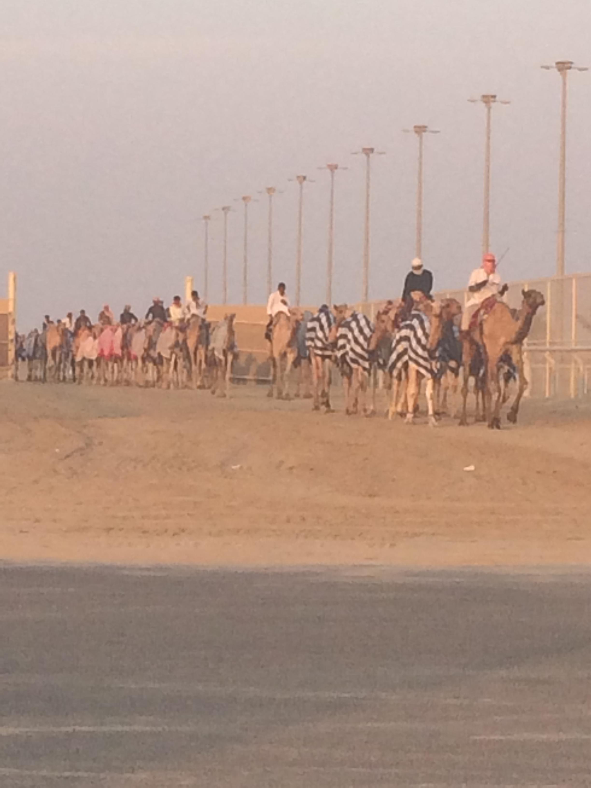 Written by Travel Expert Munich Written by Travel Expert Munich